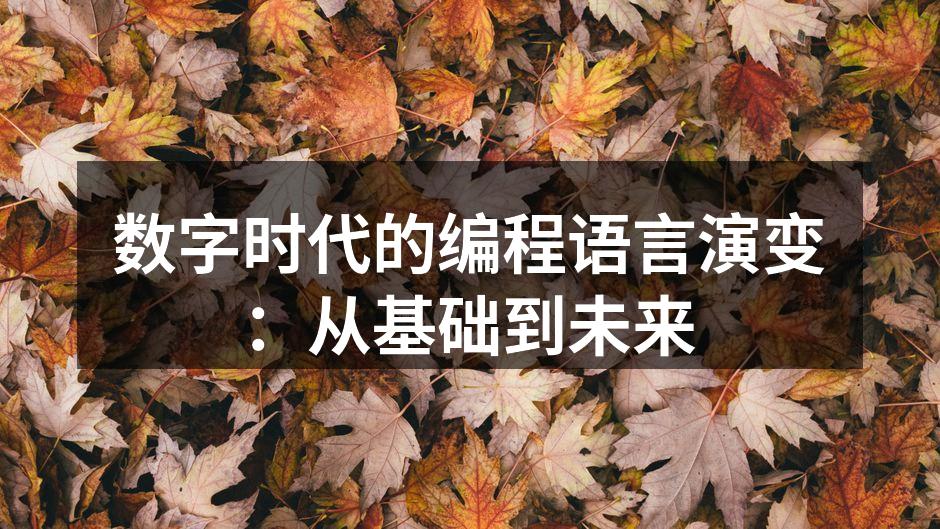 数字时代的编程语言演变:从基础到未来
